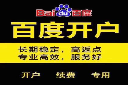案例分析：如何利用百度SEM实现品牌升级